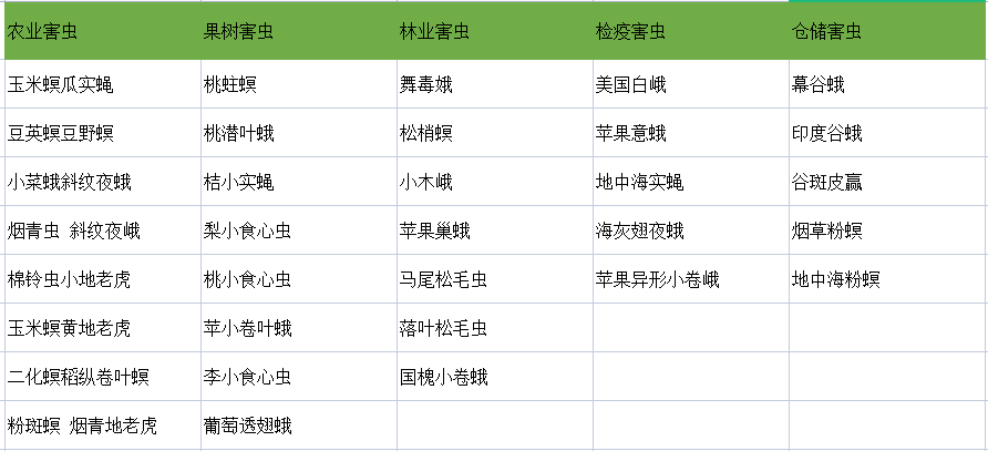 蟲情測(cè)報(bào)燈可監(jiān)測(cè)害蟲種類.png