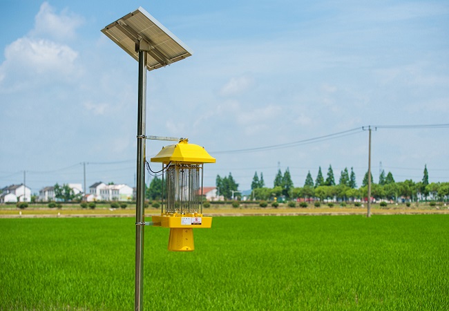 太陽(yáng)能殺蟲(chóng)燈應(yīng)用于高標(biāo)準(zhǔn)農(nóng)田