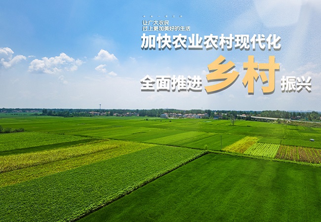 智慧農業促鄉村振興.jpg