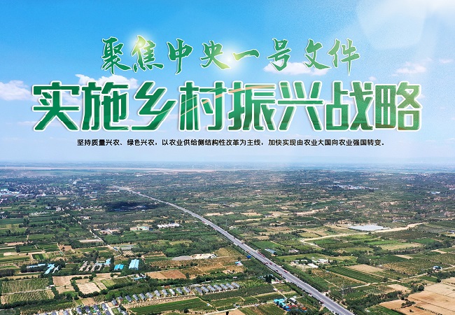 【中央一號文件】中央一號文件智慧農(nóng)業(yè)相關(guān)信息解讀！