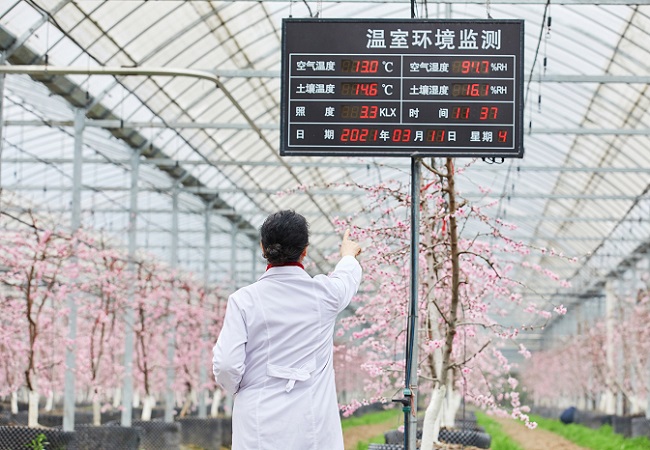 智慧農業(yè)大棚控制系統(tǒng)介紹.jpg