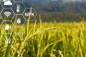 智能蟲情測報系統特點介紹