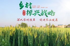 【政策解讀】我國加大大型智能農(nóng)機(jī)裝備扶持政策